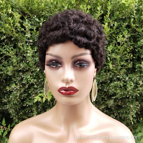 Short Afro Curly Human Hair Wigs for Black Women Short Hairstyles Pixie Cut Wigs with Thin Hair Black Non Lace Hair Wigs